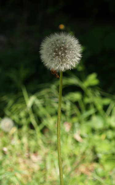http://www.betin.fr/photos/P5060037-recadree-petite.jpg